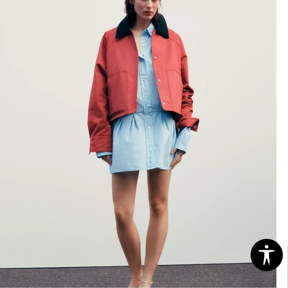 Zara Box Pleat Button Down Shirt Dress - Picture 3 of 14